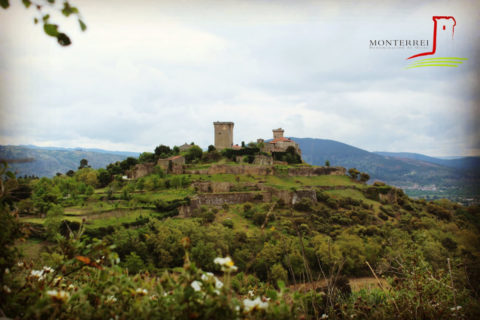Monterrei