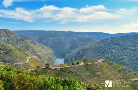 Regina viarum viewpoint