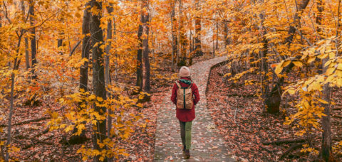 Escapadas de otoño