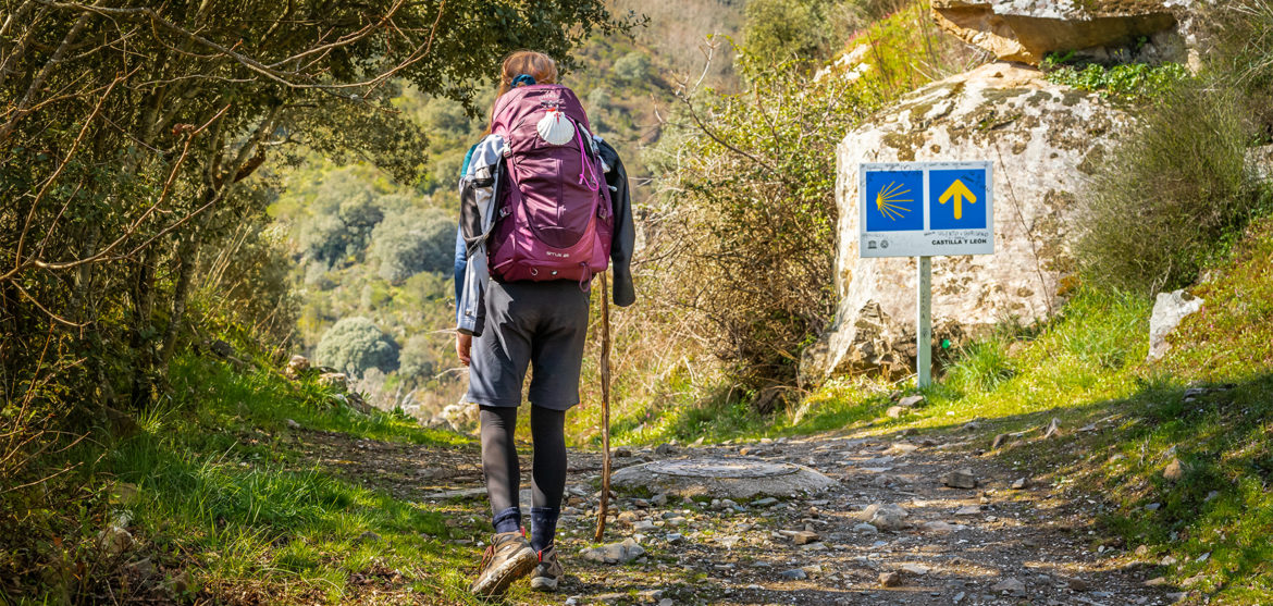 Camino de Santiago