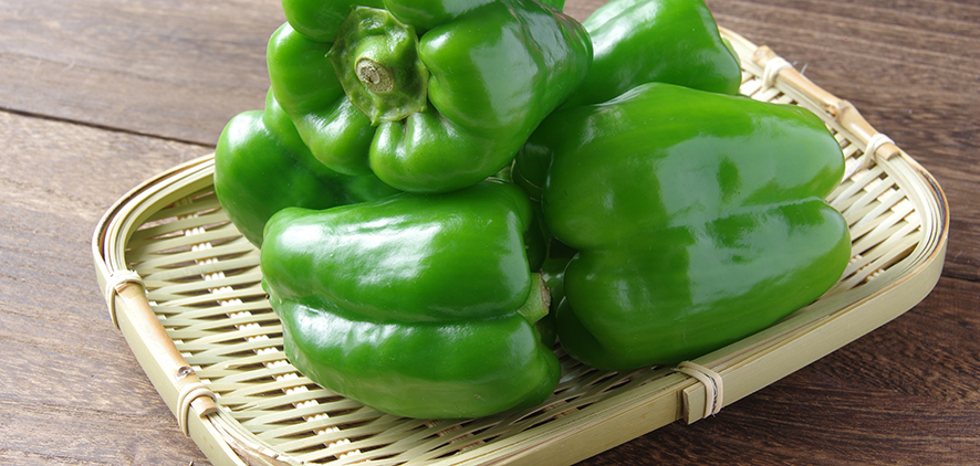 ピーマン　green pepper